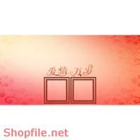 Frame Khung Wedding  wonderful no.2  PSD