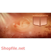 Frame Khung Wedding  wonderful no.2  PSD