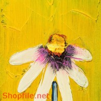 Tranh dán tường hoa cúc trắng