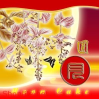 Mẫu Layout bao bì hoa và bướm