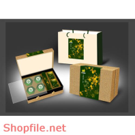 Mẫu Layout bao bì thuốc bổ