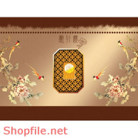 Mẫu vector Package đẹp