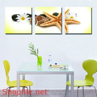 Tranh dán tường sao biển