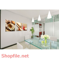 Tranh dán tường ốc biển