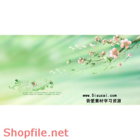 frame wedding very beautilful store wedding PSD