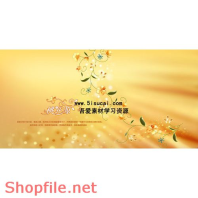 frame wedding very beautilful store wedding PSD