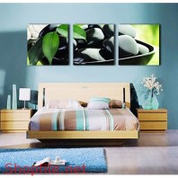 Tranh dán tường sõi đá