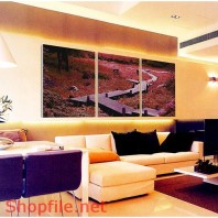 Tranh dán tường con đường