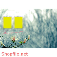 Frame wedding online cực dể thương  PSD