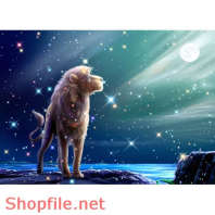 phông ghép khung ảnh cưới đẹp kinh khủng PSD