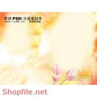 phông ghép khung ảnh cưới mẫu mới PSD