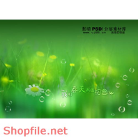 phông ghép khung ảnh cưới tung lung màu PSD