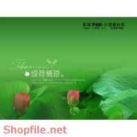 phông ghép khung ảnh cưới tung lung màu PSD