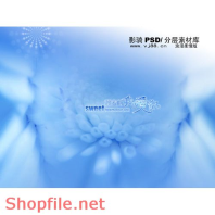 phông ghép khung ảnh cưới tươi tắn PSD