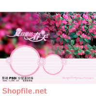 phông ghép khung ảnh cưới đẹp hoa mai PSD