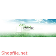 Frame wedding beautiful PSD