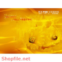 Frame wedding beautiful shopfile PSD