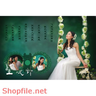 Frame wedding once happy PSD