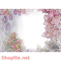 Frame wedding beautiful try agian  PSD