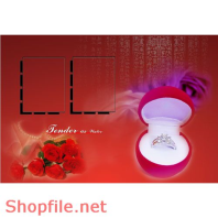 phông ghép khung ảnh cưới cung hỷ PSD