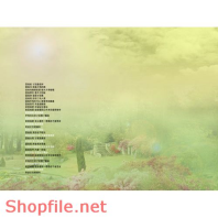 phông ghép khung ảnh cưới Song Hỷ PSD