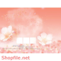 phông ghép khung ảnh cưới xinh xắn cho bạn PSD