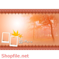 phông ghép khung ảnh cưới xinh xắn cho bạn PSD