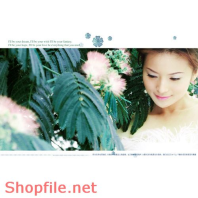 Frame wedding beautiful over PSD