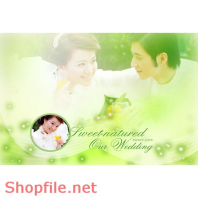 Frame wedding beautiful winter PSD