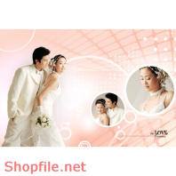 Frame wedding beautiful aloca PSD