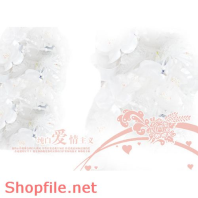 phông ghép khung ảnh cưới ngộ nghĩnh PSD