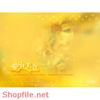 Frame weddinh beautiful Janna PSD