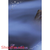 Frame weddinh beautiful Soraka PSD