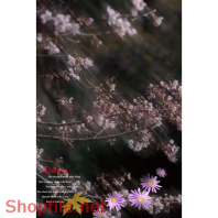 Frame weddinh beautiful Soraka PSD