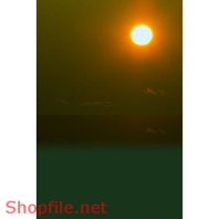 Frame weddinh beautiful PoppyPSD