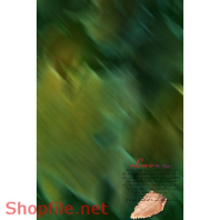 Frame weddinh beautiful Azir PSD