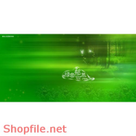 Frame weddinh beautiful Olaf PSD