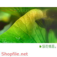 Frame weddinh beautiful Master Yi PSD