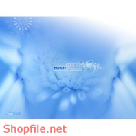 Frame weddinh beautiful Mundo PSD