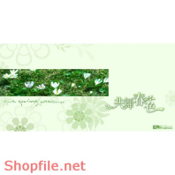 Frame weddinh beautiful Dew PSD