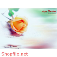 Frame wedding beautiful DOG  PSD