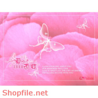 phông ghép khủng ảnh cưới Tân Trân Anh