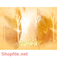 phông ghép khủng ảnh cưới Hồng Diễm