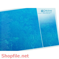 phông ghép khủng ảnh cưới Hồng Diễm