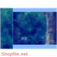 Frame wedding beautiful love you online PSD