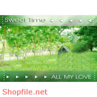 Frame wedding beautiful LuLu online PSD