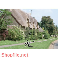 Frame wedding beautiful Tristana online PSD