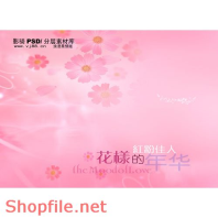 Frame wedding beautiful xinzhao online PSD