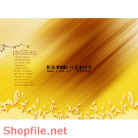 Frame wedding beautiful Zed online PSD