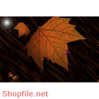 Frame wedding beautiful Riven online PSD